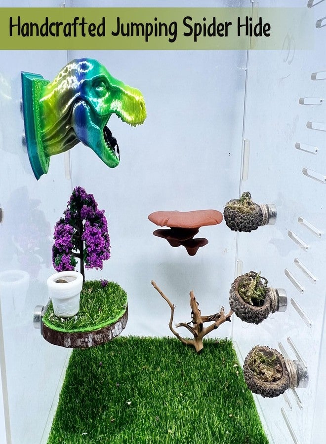 Daerky Jumping Spider Hide,3D Printed Dinosaur Head - A Fun Habitat for Jumping Spiders, Small Reptiles, and Small Pets, Suitable for Home Decor with Animal Enclosures (Mixed Color) - Image 5